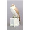 Image 1 : SCHWARZBURGER WERKSTÄTTEN, Werk Unterweißbach Gerhard Marcks Sitzender Falke, Porzellan....