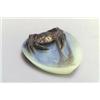 Image 1 : VICTOR AMALRIC WALTER, Nancy Henri Bergé Schale, Pâte-de-verre. Glaspaste in Grün, Blau...