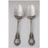 Image 1 : Vintage Set of 2 Large Serving Spoons by Lunt