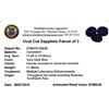 Image 2 : 17.4ctw Oval Cut Sapphire Parcel