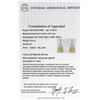 Image 5 : Platinum EGL USA Certified 5.00ctw Fancy Yellow Diamond Earrings