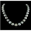 Image 1 : Tahitian Cultured Pearl Necklace with 14KT White Gold Diamond Clasp