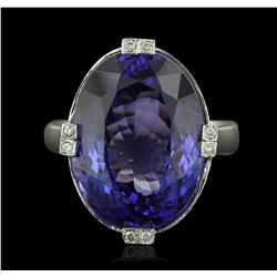 14KT White Gold 16.98ct Tanzanite and Diamond Ring