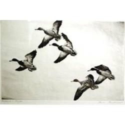 Hans Kleiber (1887-1967). Etching. "Mallards In Flight." 8.5" x 12.25". Estimate $400 - $500…