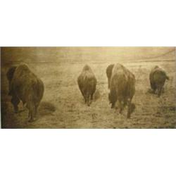 L.A. Huffman. Collotype. 4 Buffalo, circa 1915. 9  x 19 . Estimate $500-$750.…