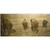 Image 1 : L.A. Huffman. Collotype. 4 Buffalo, circa 1915. 9" x 19". Estimate $500-$750.…