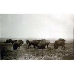 L.A. Huffman. Collotype. Buffalo, circa 1915. 9" x 13". Estimate $500-$600.…