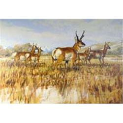 John Tayson. Oil on board.  Antelopes.  24  x 36 . Estimate $1,200-$1,500.…