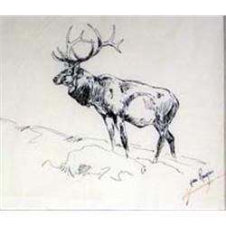 Robert F. Morgan (b.1929). Pen & ink drawing. Elk. After Rungius. circa 1970-1972. 9.5" x 10.5". …