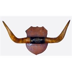 Mounted Steer Horns. Estimate $200-$300.…