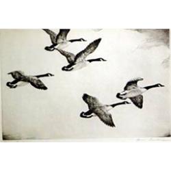 Hans Kleiber (1887-1967). Etching.  Flying Honkers.  8.5  x 12.25 . Estimate $400-$500.…