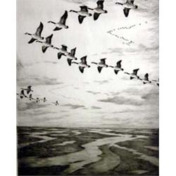 Hans Kleiber (1887-1967). Etching.  Geese Over the Marshes.  12.5  x 10 . Estimate $400-$500.…