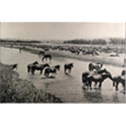 L.A. Huffman. Collotype. "Hot Noon Beside The Roundup, July 19, 1904." 19" x 25". Estimate $1,000…