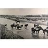 Image 1 : L.A. Huffman. Collotype. "Hot Noon Beside The Roundup, July 19, 1904." 19" x 25". Estimate $1,000…