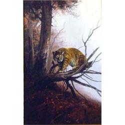 John Paul Strain (b.1955). Gouache.  Autumn Bobcat.  13  x 9 . Estimate $1200-$1,500.…