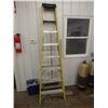 Image 1 : 8' Werner Fiberglass Ladder #FSA08
