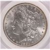 Image 2 : 1891 MORGAN DOLLAR PNC MS-66