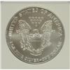 Image 3 : 2006 SILVER AMERICAN EAGLE NGC MS-69 (EARLY RELEASE)