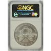 Image 4 : 2006 SILVER AMERICAN EAGLE NGC MS-69 (EARLY RELEASE)