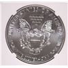 Image 3 : 2013 (W) SILVER AMERICAN EAGLE NGC MS-69