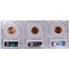 Image 2 : LOT OF ( 3 ) PCGS MS-66 RED LINCOLN CENTS: 1953-D, 1956 & 1957-D