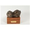 Image 1 : Ken Bunn, bronze