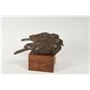Image 5 : Ken Bunn, bronze