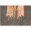 Image 3 : Apache Dog Saddle Bags, 43" x 7"