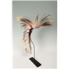 Image 4 : Northern Plains Roach, 17" long