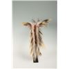 Image 5 : Northern Plains Roach, 17" long