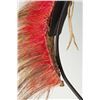 Image 4 : Northern Plains Roach, 13" long