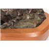 Image 5 : Cynthia Rigden, bronze