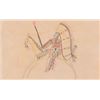 Image 2 : Plains Ledger Drawing, 6 ½ x 10 ½"