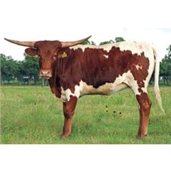 SR Van Horne’s Darby 327