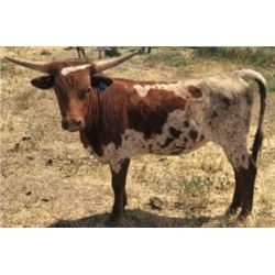 Hunts Do Unto Others