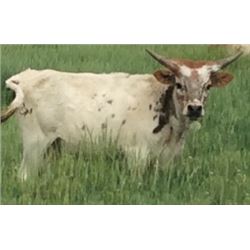 Hunts Always Respect