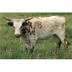 Hunts Dash Sister Dash