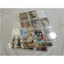 LOT 24 1981 HERES BO CARDS