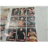Image 2 : LOT 70 MISC WWC/NWO WRESTLING CARDS