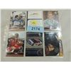 Image 1 : LOT 6 DALE EARNHARDT JR RACING CARDS