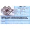 Image 4 : 14KT White Gold 1.54ctw Diamond Ring