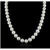 Image 1 : 14KT White Gold Pearl Necklace