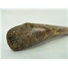 Image 8 : Eskimo Baculum (Oosik)