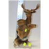 Image 1 : LARGE DEER HEAD ORNAMENT