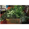 Image 1 : BOX OF SILK PLANTS