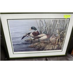 LTD. ED -  P YOUNG "MALLARD" PRINT