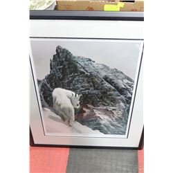 DUCKS UNLIMITED "HARD PLACES" BY WILF SCHLITT