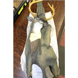 HAND PAINTED DEER HEAD