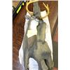 Image 1 : HAND PAINTED DEER HEAD