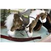 Image 1 : PLUSH CHILDREN'S ROCKING HORSE